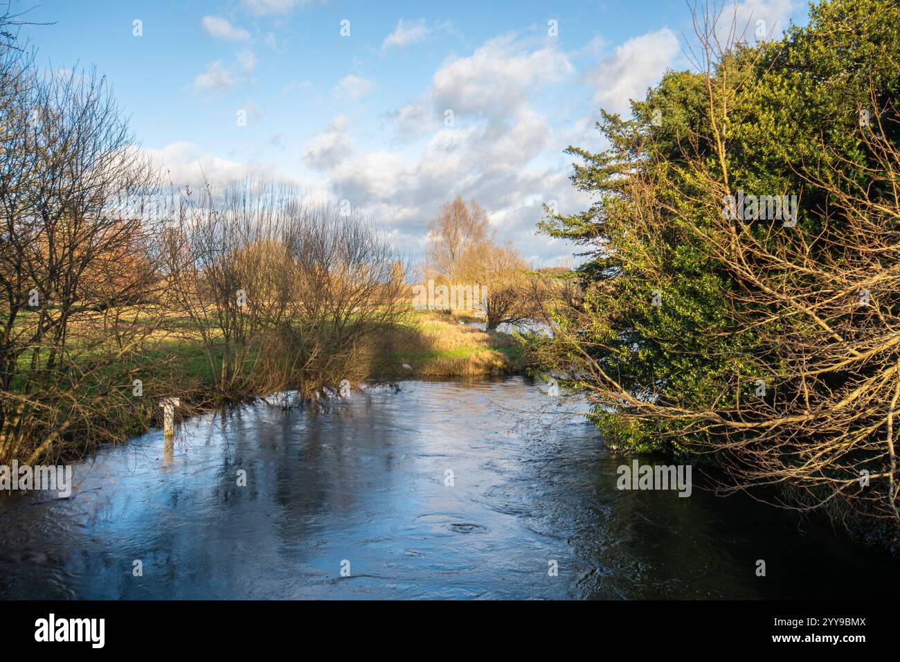 Le River test en hiver qui traverse Stockbridge dans le Hampshire, Angleterre, Royaume-Uni Banque D'Images