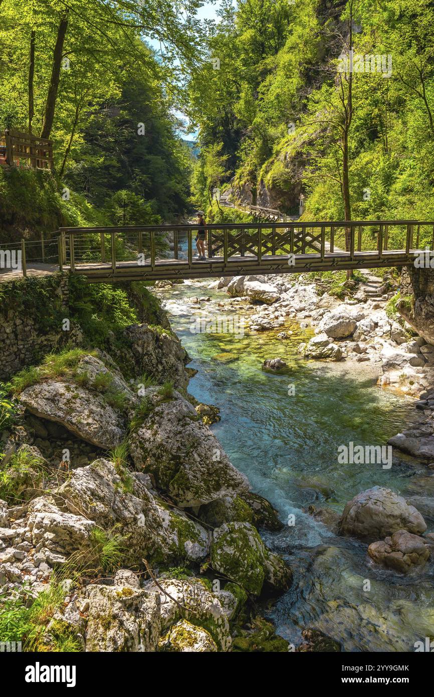 Touriste profitant d'une vue imprenable sur les gorges de tolmin en slovénie, marchant sur un pont en bois sur une rivière claire et turquoise entourée d'un vert luxuriant pour Banque D'Images