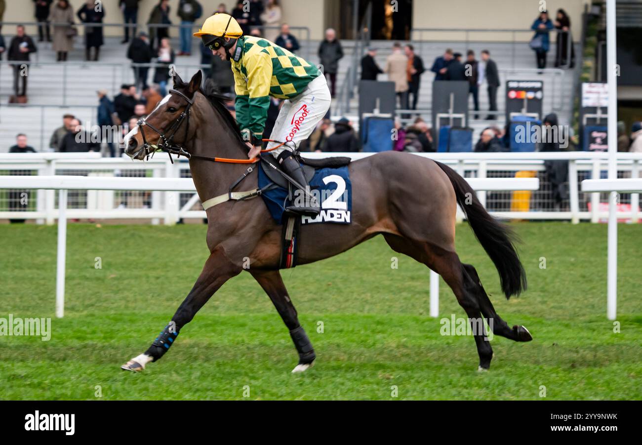 Ascot, Berkshire, vendredi 20 décembre 2024 ; Mark of Gold et Caoilin Quinn remportent le Grade 2 Howden Noel Novices' Chase pour les entraîneurs Gary & Josh Moore et le propriétaire Stevie Fisher & Friends. Crédit JTW Equine images / Alamy Live News. Banque D'Images