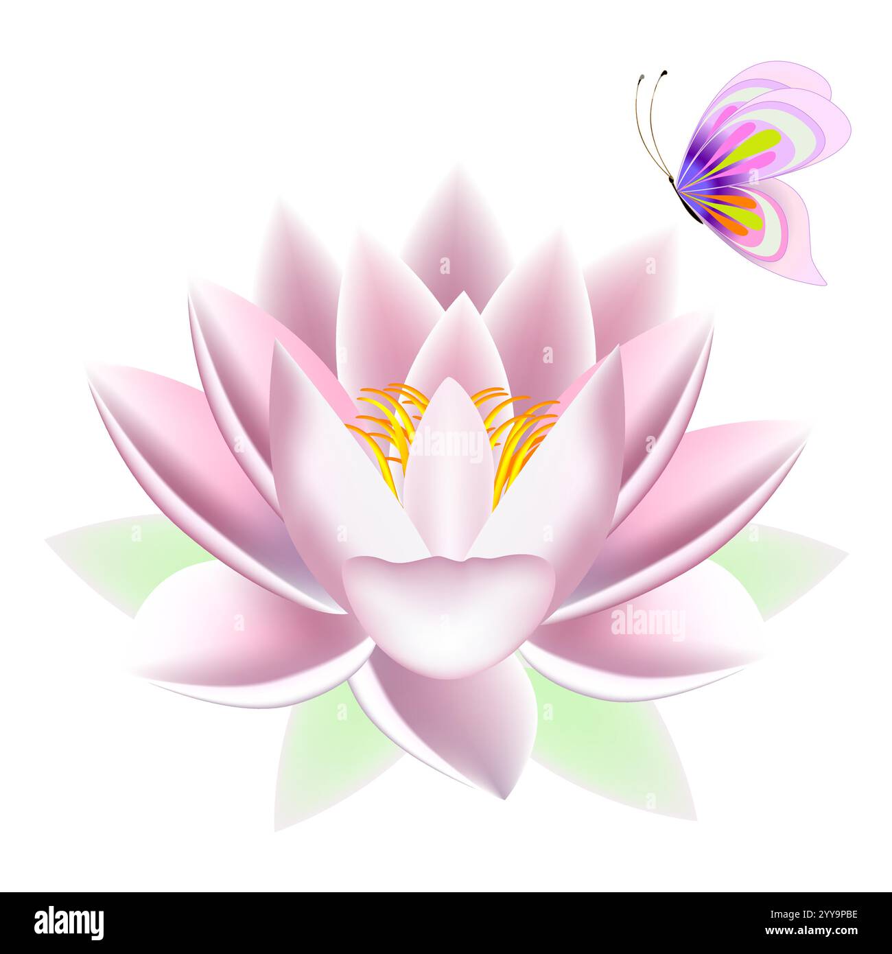 Lotus avec un papillon. Illustration de Vecteur