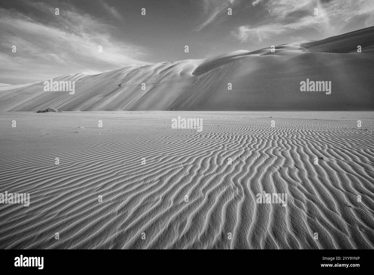 Mauritanie, Azweiga, paysage Banque D'Images