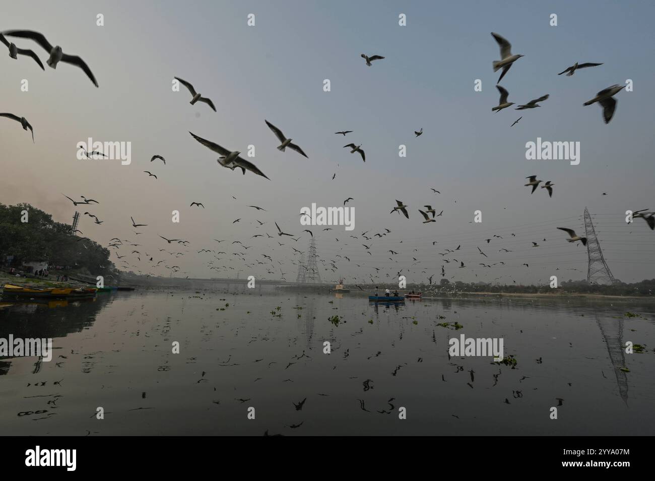 New Delhi, Inde. 20 décembre 2024. NEW DELHI, INDE - 20 DÉCEMBRE : des gens ont vu se nourrir des mouettes dans la rivière Yamuna le 20 décembre 2024 à New Delhi, Inde. Les mouettes de Sibérie migrent vers la rivière Yamuna à Delhi, en Inde, pendant l'hiver, et peuvent être vues en grands troupeaux. Les mouettes de Sibérie migrent vers la rivière Yamuna à Delhi, en Inde, pendant l'hiver, et peuvent être vues en grands troupeaux. (Photo de Raj K Raj/Hindustan Times/Sipa USA) crédit : Sipa USA/Alamy Live News Banque D'Images