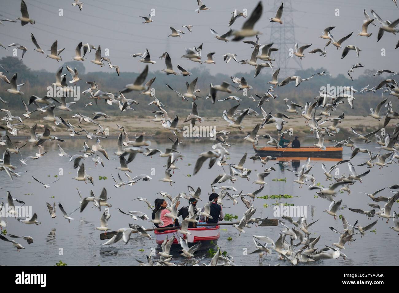 New Delhi, Inde. 20 décembre 2024. NEW DELHI, INDE - 20 DÉCEMBRE : des gens ont vu se nourrir des mouettes dans la rivière Yamuna le 20 décembre 2024 à New Delhi, Inde. Les mouettes de Sibérie migrent vers la rivière Yamuna à Delhi, en Inde, pendant l'hiver, et peuvent être vues en grands troupeaux. Les mouettes de Sibérie migrent vers la rivière Yamuna à Delhi, en Inde, pendant l'hiver, et peuvent être vues en grands troupeaux. (Photo de Raj K Raj/Hindustan Times/Sipa USA) crédit : Sipa USA/Alamy Live News Banque D'Images