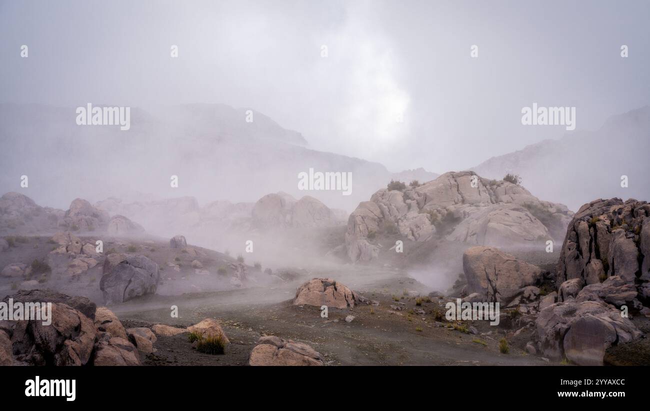 Parc national Los Nevados Colombie Banque D'Images