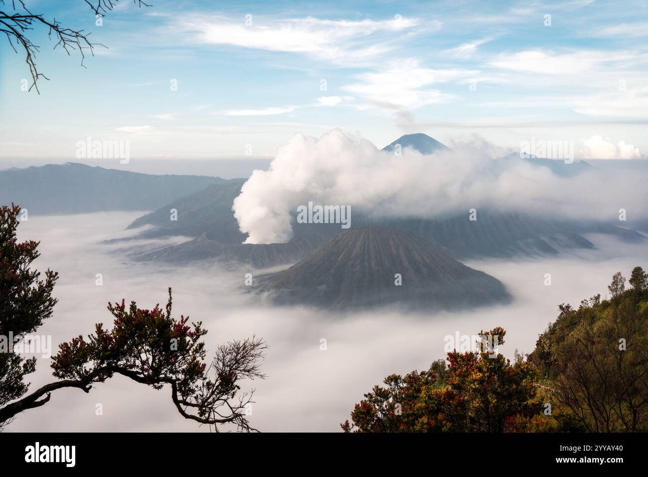 Volcan Mont bromo sur Java Indonésie Banque D'Images
