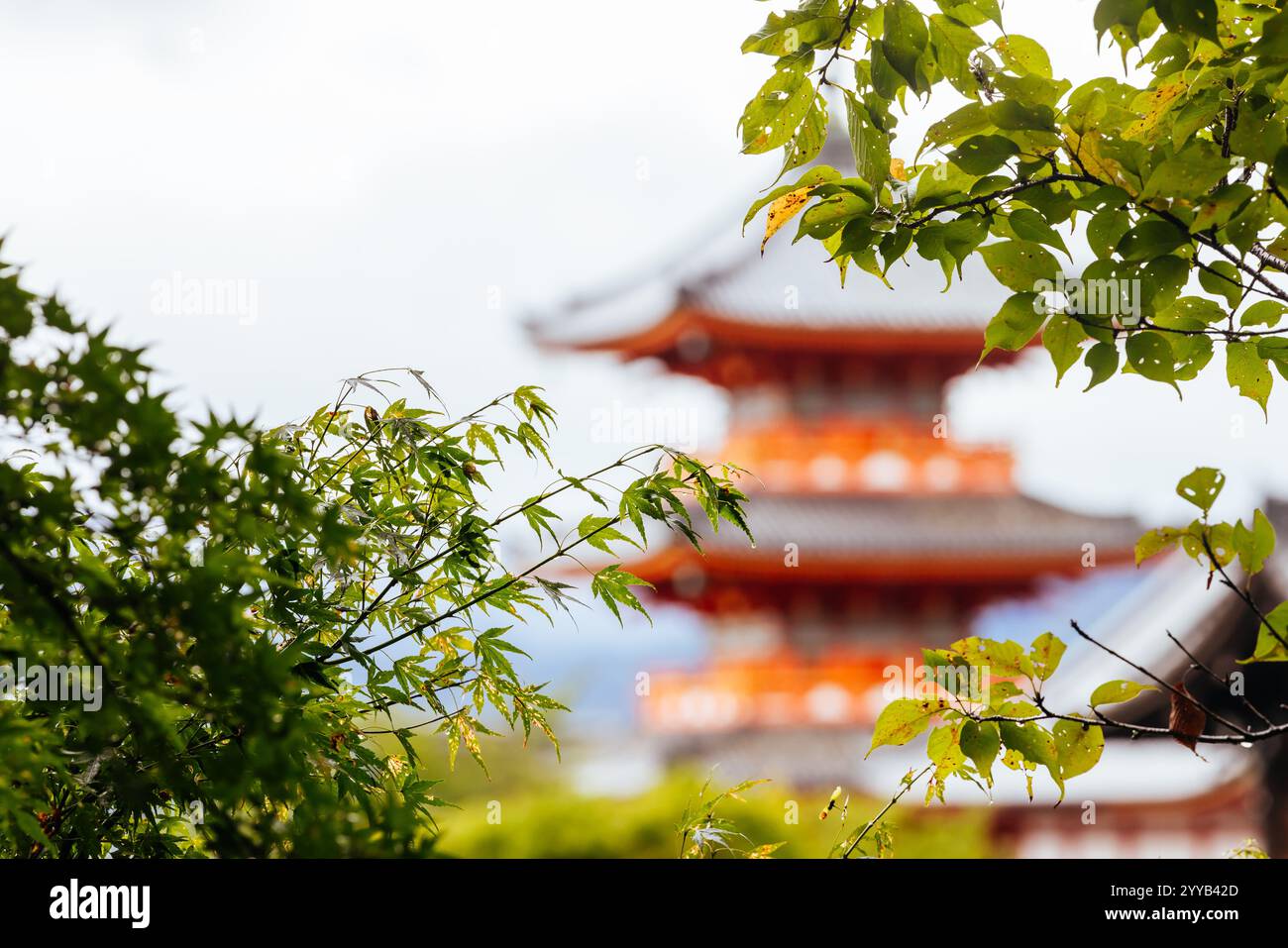 Le temple emblématique de Kiyomizu-dera et la vue sur la montagne lors d'une journée de printemps ensoleillée à Kyoto, au Japon Banque D'Images
