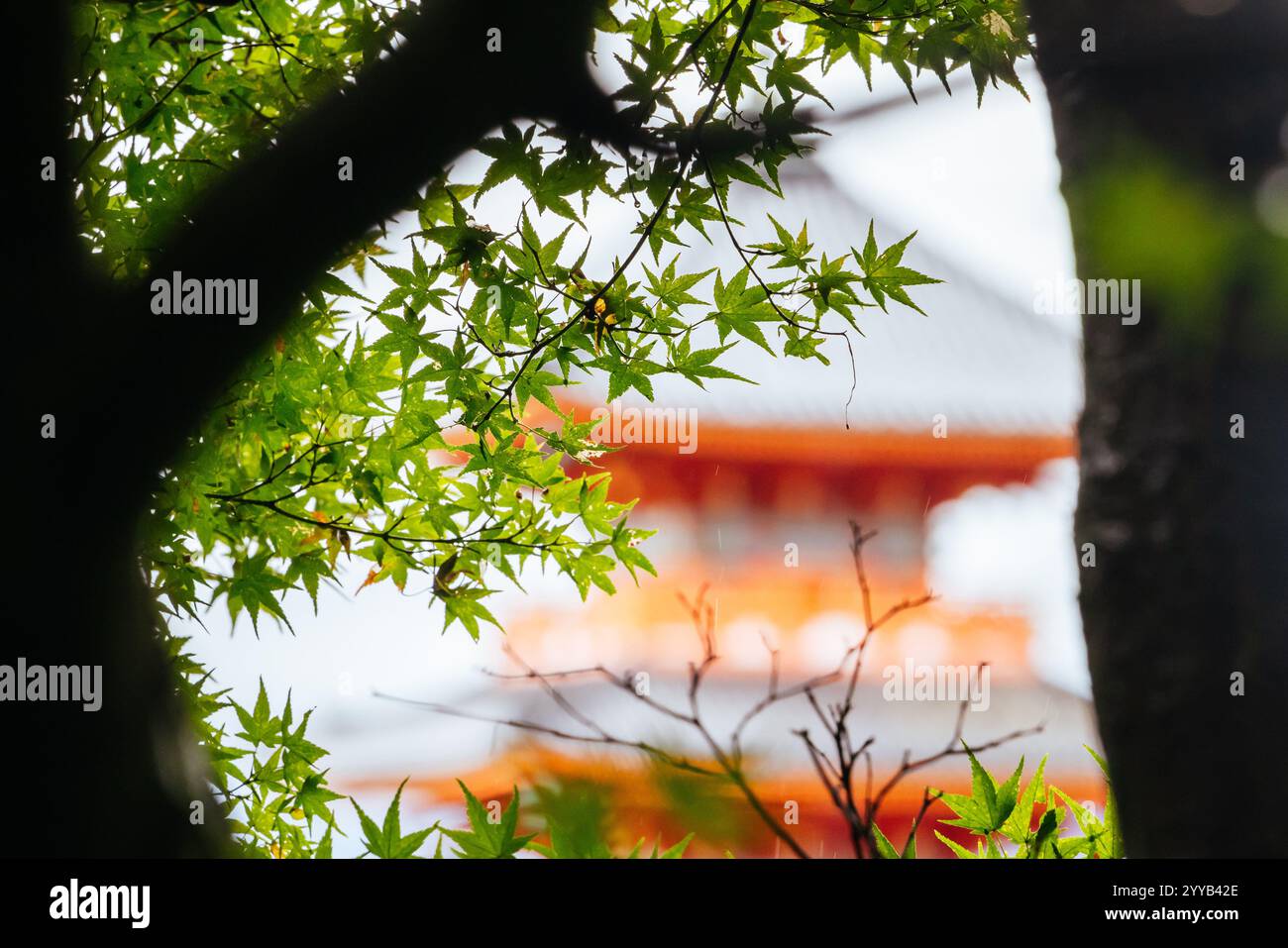 Le temple emblématique de Kiyomizu-dera et la vue sur la montagne lors d'une journée de printemps ensoleillée à Kyoto, au Japon Banque D'Images