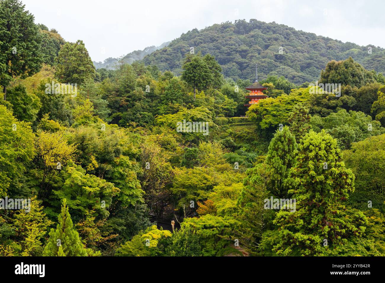 Le temple emblématique de Kiyomizu-dera et la vue sur la montagne lors d'une journée de printemps ensoleillée à Kyoto, au Japon Banque D'Images