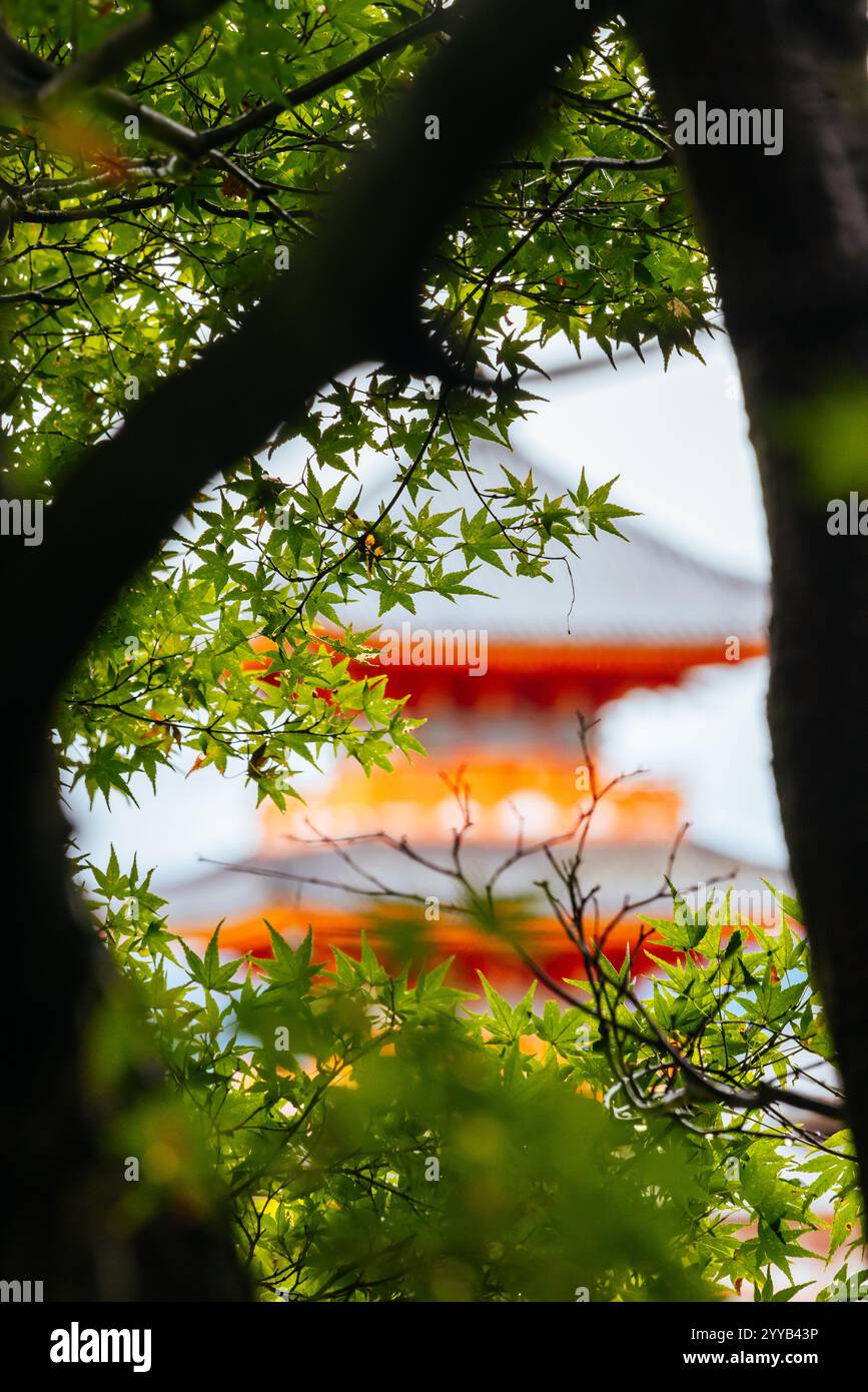 Le temple emblématique de Kiyomizu-dera et la vue sur la montagne lors d'une journée de printemps ensoleillée à Kyoto, au Japon Banque D'Images