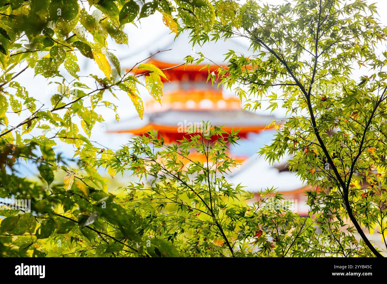 Le temple emblématique de Kiyomizu-dera et la vue sur la montagne lors d'une journée de printemps ensoleillée à Kyoto, au Japon Banque D'Images