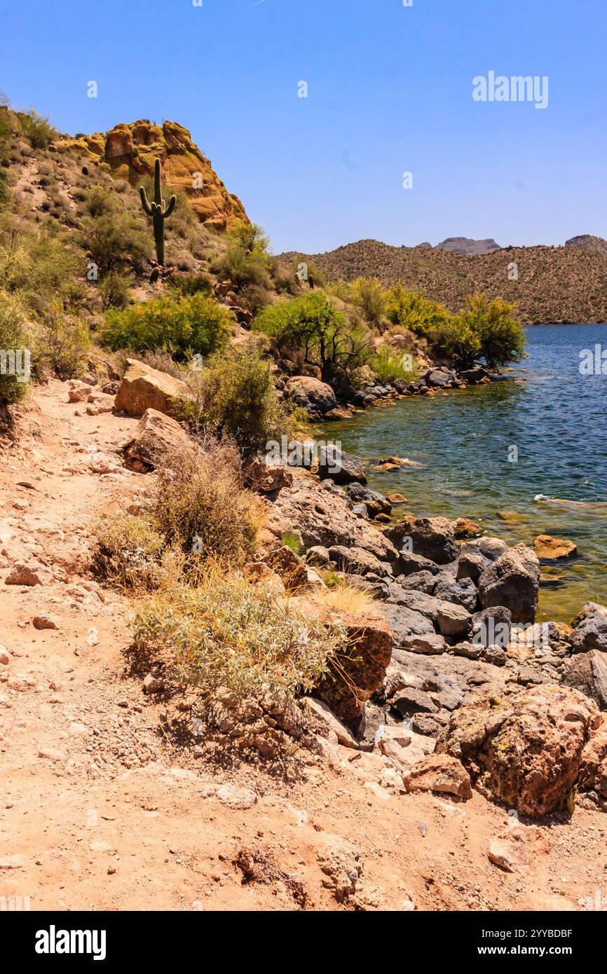 Un rivage rocheux avec un petit plan d'eau. L'eau est claire et calme. Le rivage est rocheux et aride, avec seulement quelques plantes poussant dans l'Ar Banque D'Images