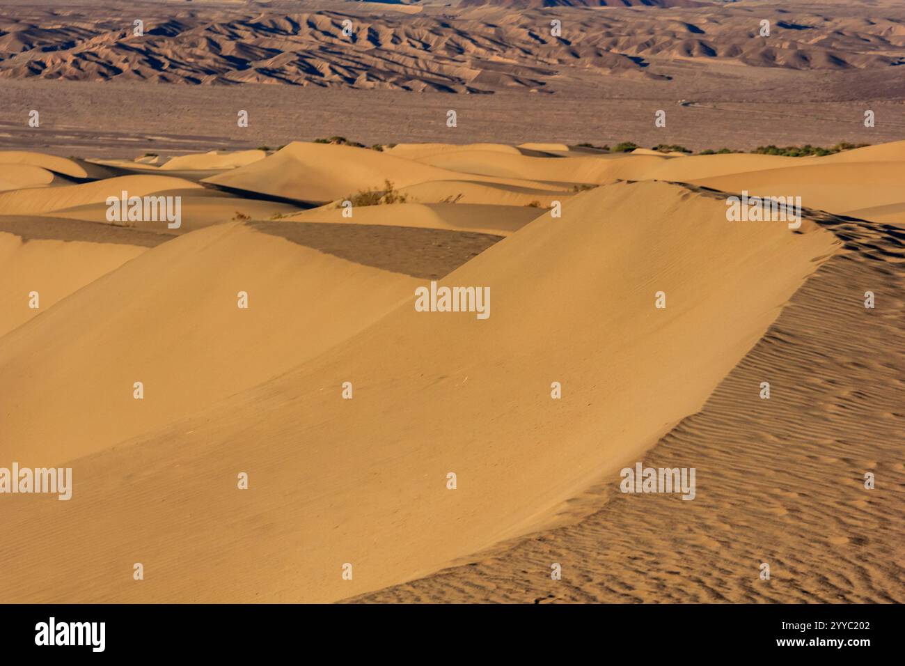 Un paysage désertique avec des dunes de sable et des montagnes en arrière-plan. Les dunes sont petites et dispersées, certaines d'entre elles étant plus hautes que d'autres Banque D'Images