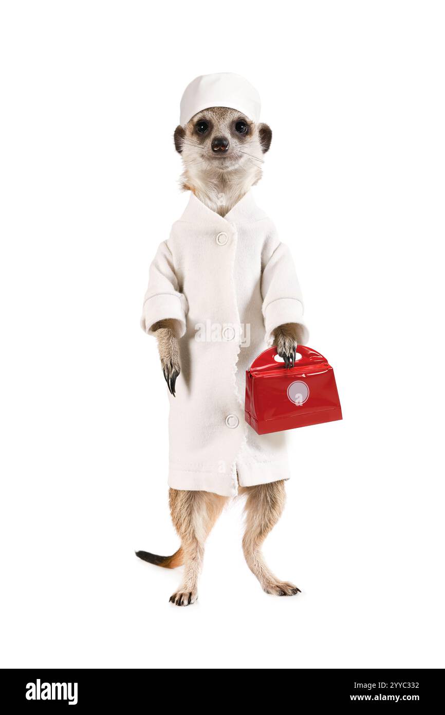 Drôle médecin suricat dans un manteau blanc et une trousse de premiers soins isolé sur un fond blanc Banque D'Images