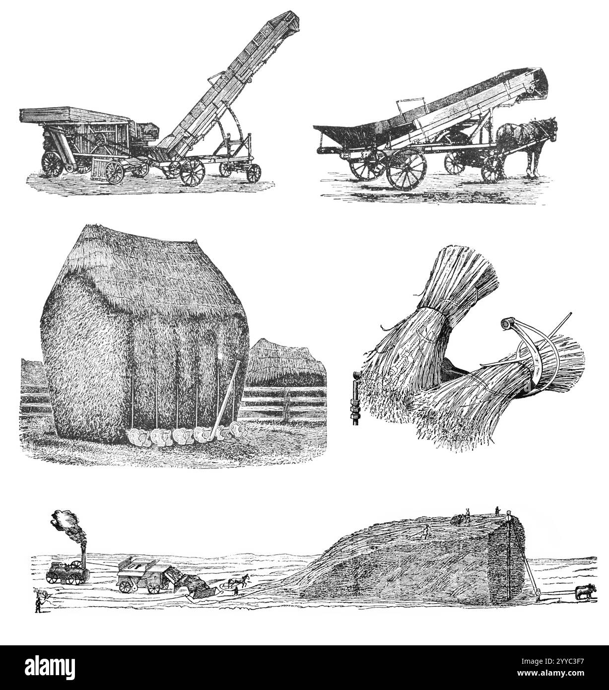 RUSSIE - CIRCA 1897 : gravure de l'agriculture tirée d'une impression originale de «machines agricoles. Atlas', créateur K.K.Veber. Composé Petersburg, RUSS Banque D'Images