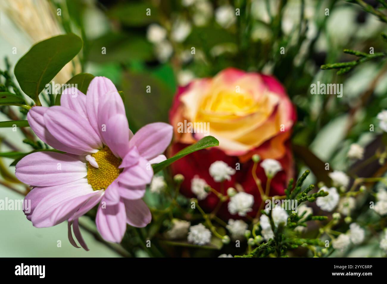 Un bouquet vibrant présente une fleur rose délicate aux côtés d'une rose rouge frappante. Rempli de verdure, cet arrangement rayonne de gaieté, parfait Banque D'Images