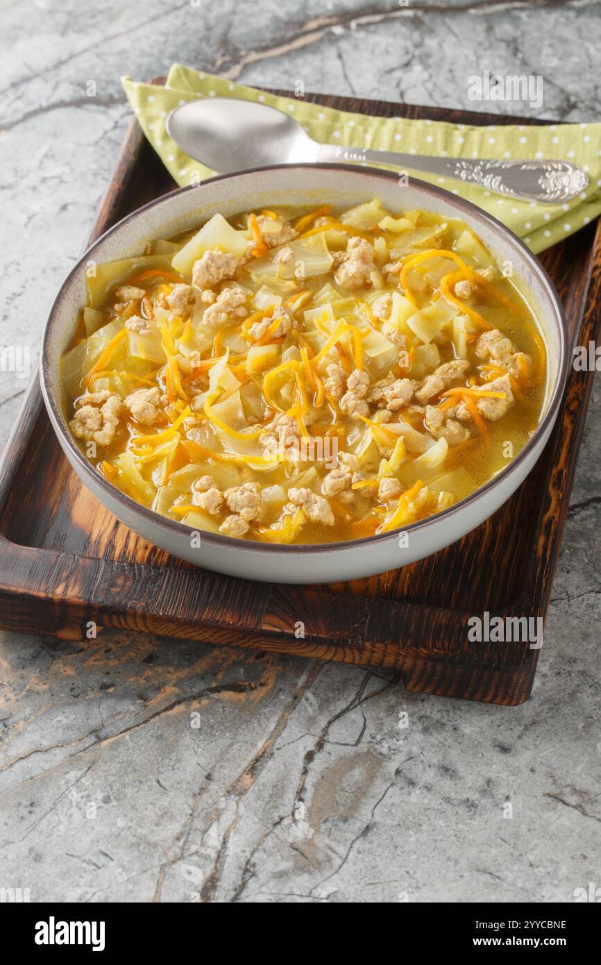 Egg Roll Soupp essentiellement une soupe de chou asiatique, mijotée avec de la saucisse zestée, des carottes, du sésame et du gingembre en gros plan sur le plat de cuisson sur la table. Vert Banque D'Images