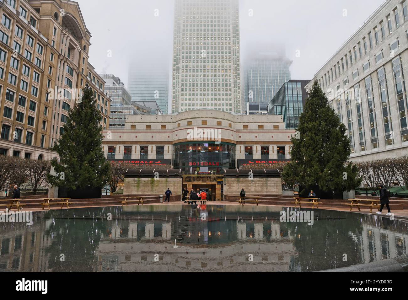 Arbres de Noël à Cabot Square avec Canary Wharf Londres Royaume-Uni décembre 2024 Banque D'Images
