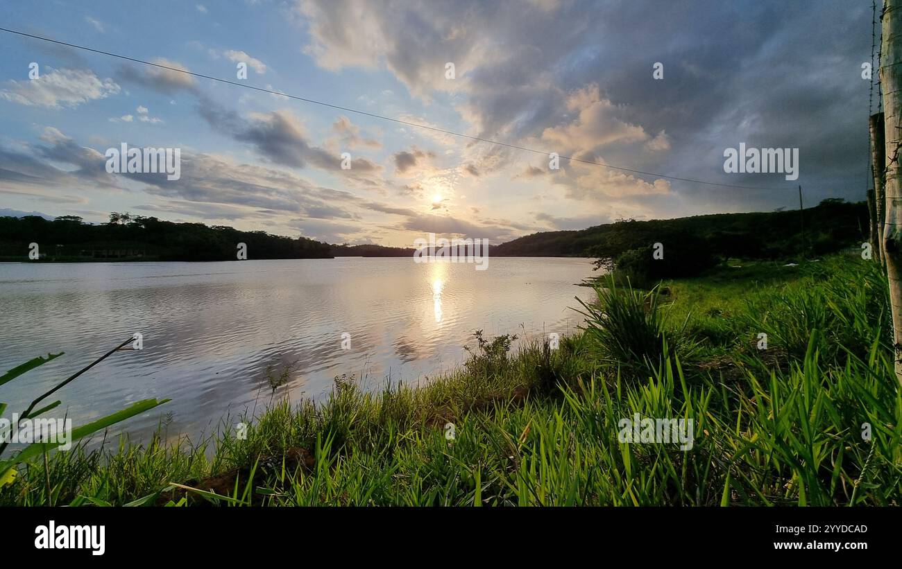 Un paysage serein au bord du lac pendant le coucher du soleil, avec une herbe verte vibrante au premier plan et une eau calme reflétant les teintes dorées du soleil couchant. - Image de stock capturée avec un smartphone