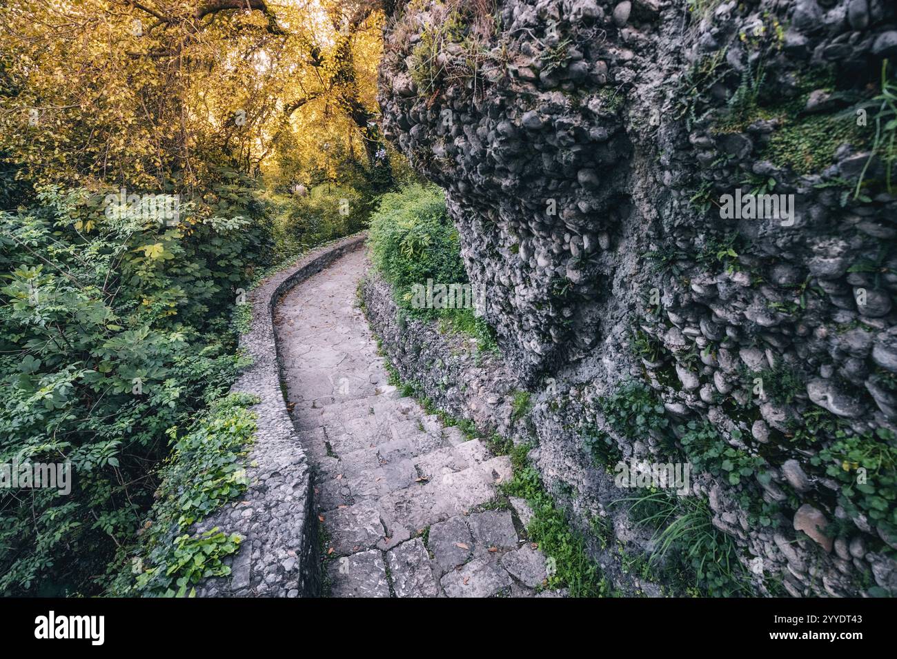 Un sentier de conte de fées à travers un parc verdoyant, avec des marches de pierre et des rochers couverts de mousse, offrant un sentier de randonnée serein au cœur de la nature. Banque D'Images