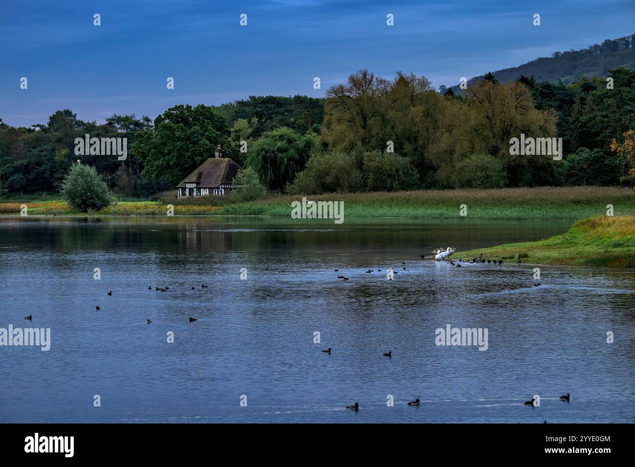 Lac Blagdon avec maison noire et blanche au bord du lac, pris dans l'heure bleue juste avant le lever du soleil avec de nombreux oiseaux d'eau Banque D'Images