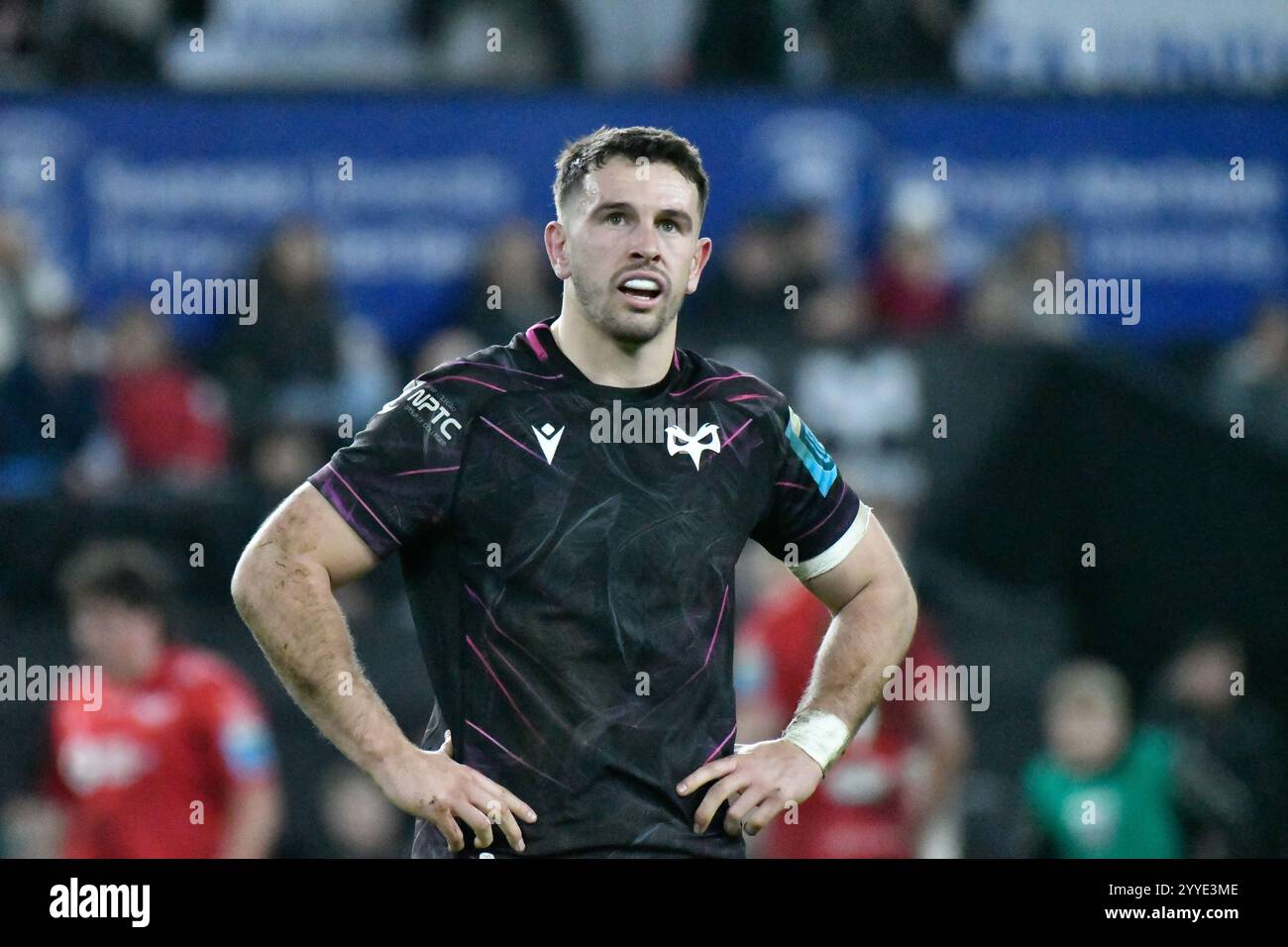 Swansea, pays de Galles. 21 décembre 2024. Lors du match de la ronde 8 de l'United Rugby Championship (URC) entre Ospreys et Scarlets au Swansea.com Stadium de Swansea, pays de Galles, Royaume-Uni, le 21 décembre 2024. Crédit : Duncan Thomas/Majestic Media/Alamy Live News. Banque D'Images