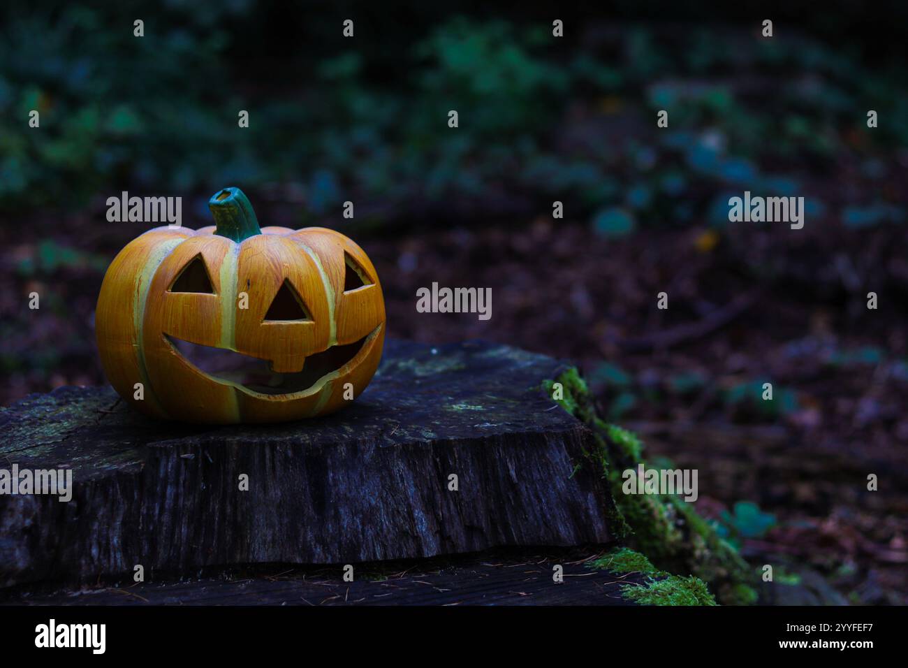 Citrouille dans la forêt Banque D'Images