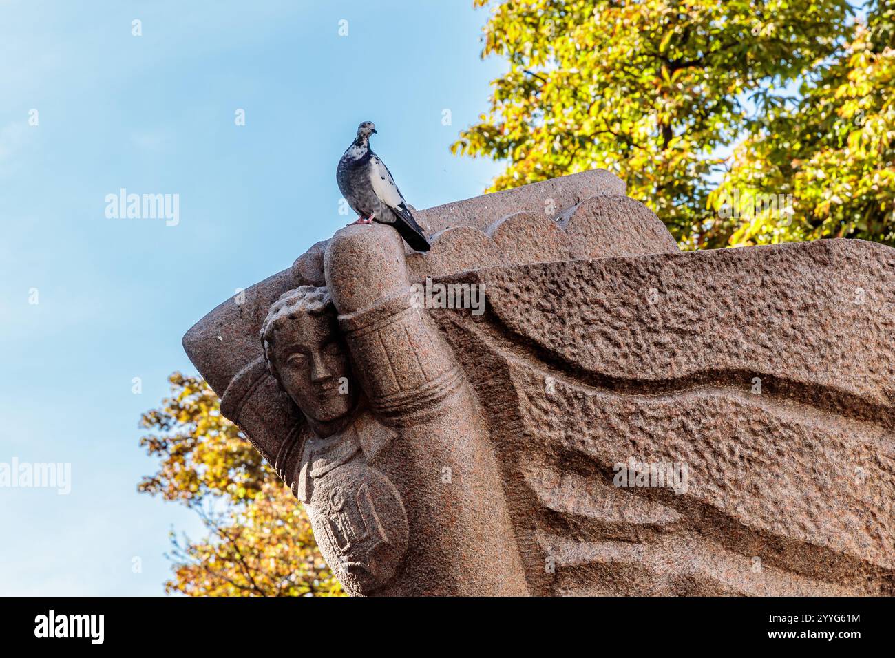 Un pigeon est perché sur une statue de femme. La statue est faite de pierre et a un visage de femme dessus. Le ciel est bleu et clair, et les branches d'arbre Banque D'Images Un pigeon est perché sur une statue de femme. La statue est faite de pierre et a un visage de femme dessus. Le ciel est bleu et clair, et les branches d'arbre Banque D'Images