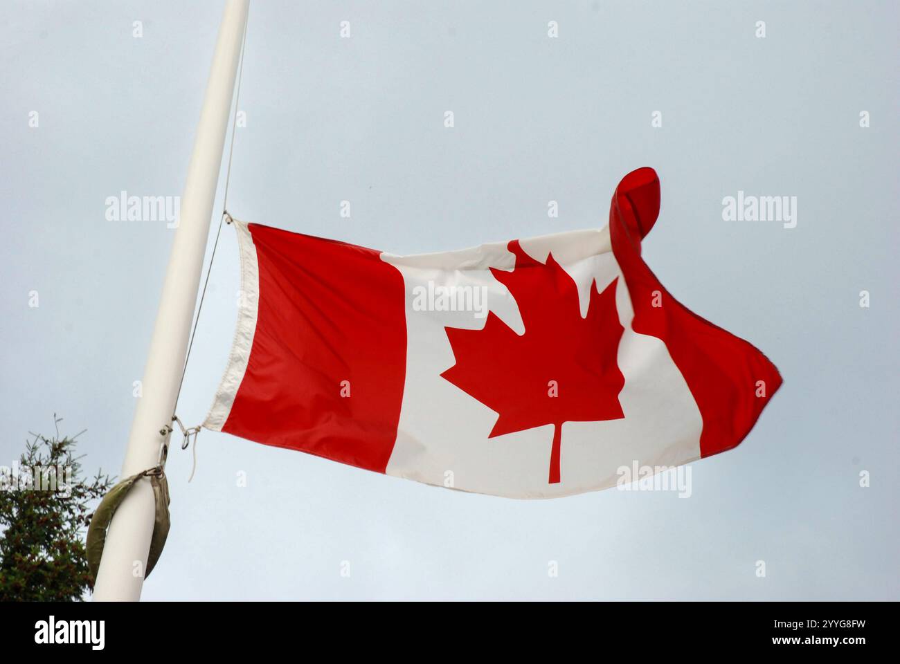Drapeau canadien en Berne Banque D'Images