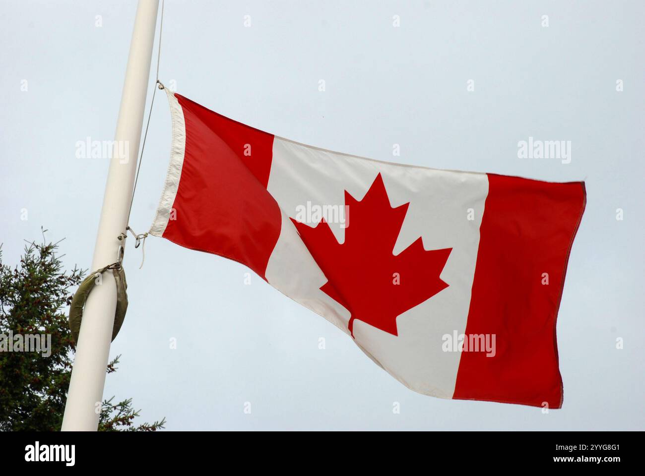 Drapeau canadien en Berne soufflant dans le vent pendant la cérémonie du souvenir Banque D'Images
