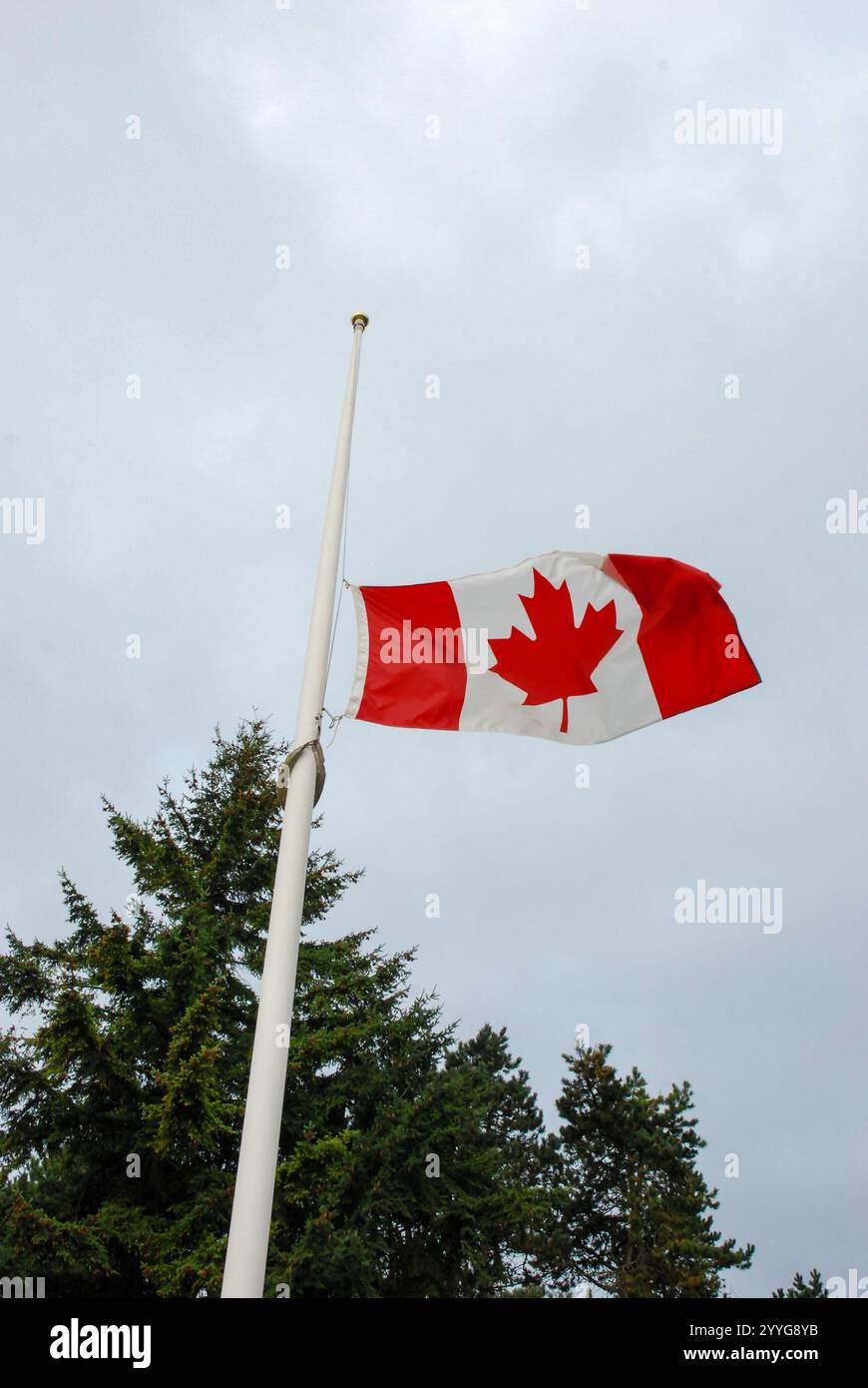 Drapeau canadien en Berne soufflant dans le vent pendant la cérémonie du souvenir Banque D'Images