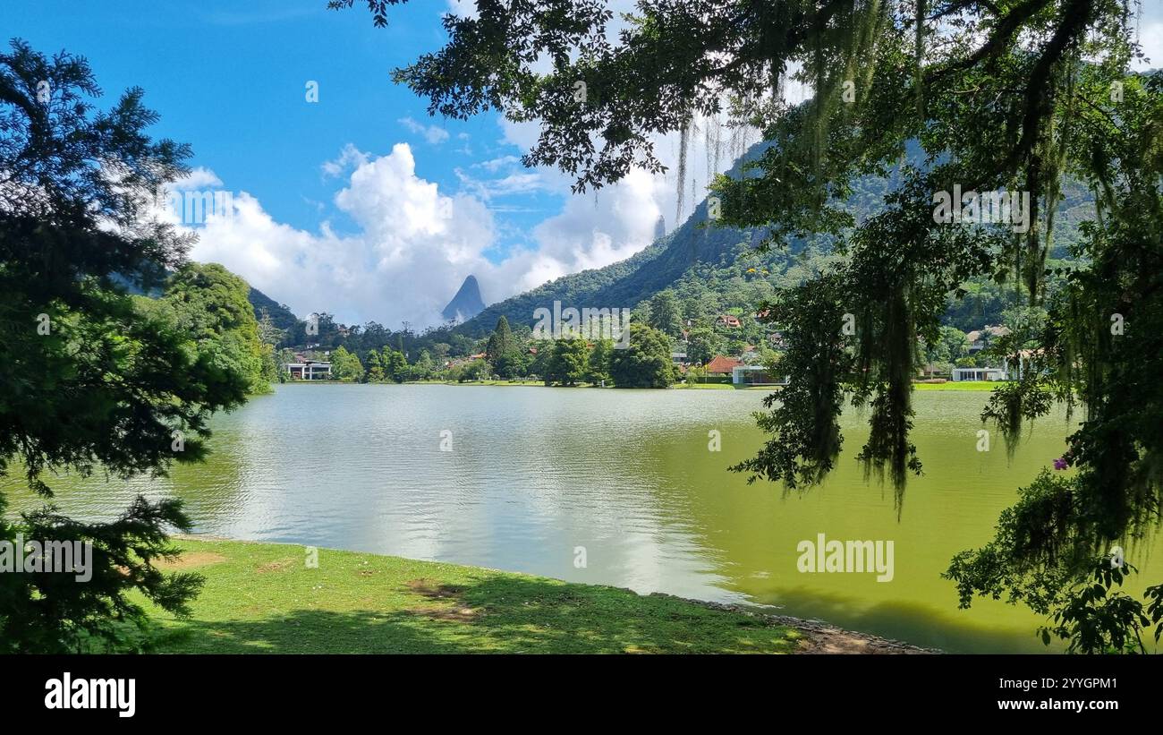 Cette image montre une scène sereine au bord du lac encadrée par une végétation luxuriante, avec des branches d'arbres couvertes de mousse suspendues au premier plan. Banque D'Images