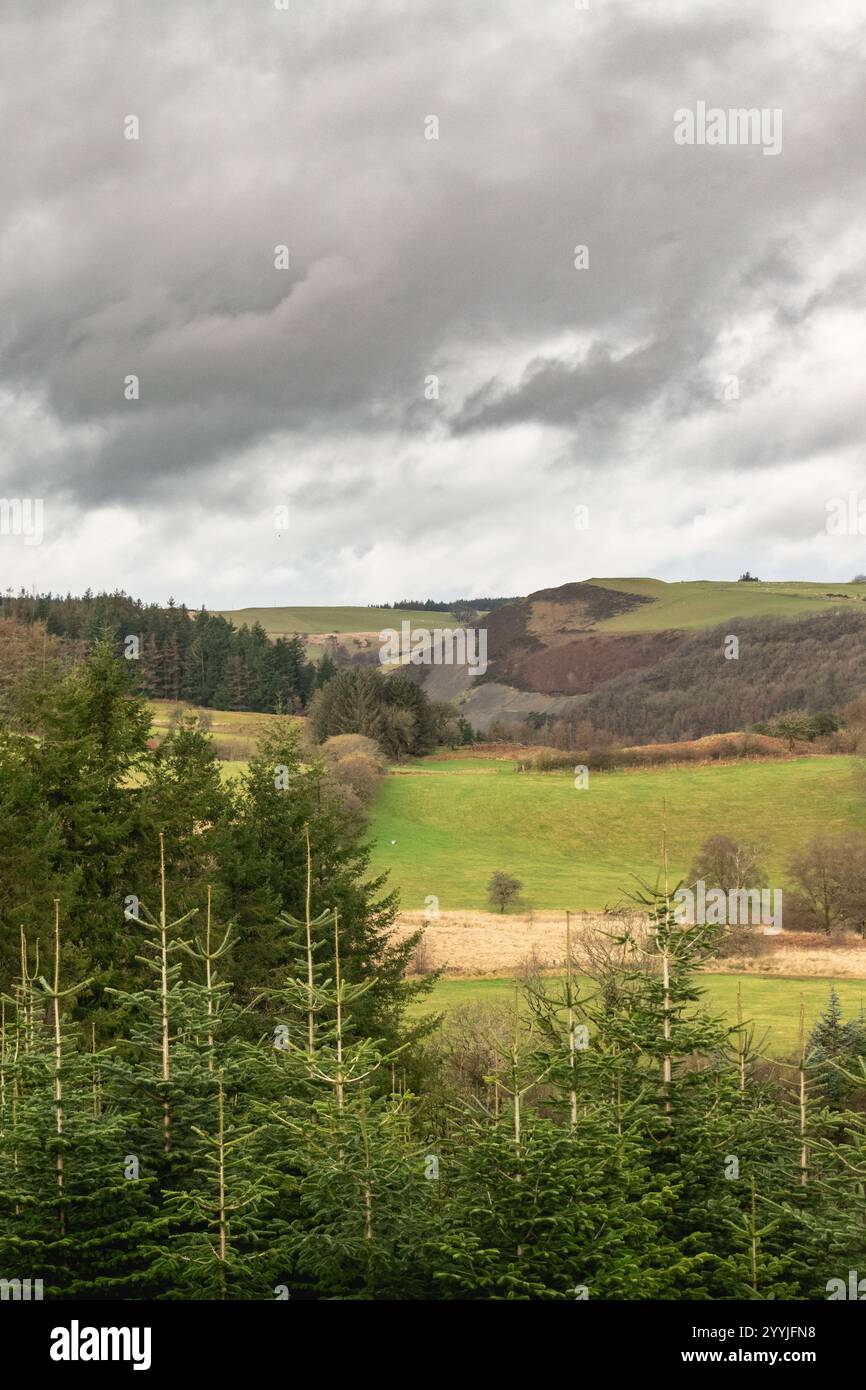 Vue sur la vallée dans les montagnes cambriennes, pays de Galles Banque D'Images