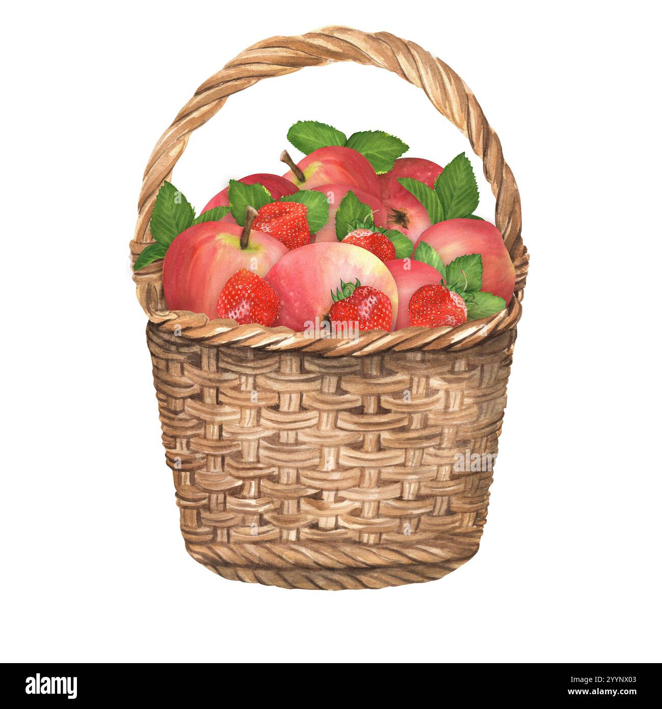 Un panier de jardin en osier avec des pommes rouges et des fraises dedans. Fruits et baies. Illustration d'aquarelle dessinée à la main. Éléments clipart de jardin Banque D'Images