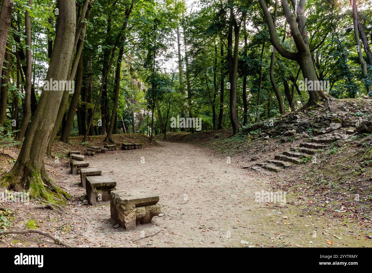 Un chemin à travers une forêt avec une série de bancs de pierre le long du chemin. Les bancs sont vides et le chemin est couvert de feuilles Banque D'Images