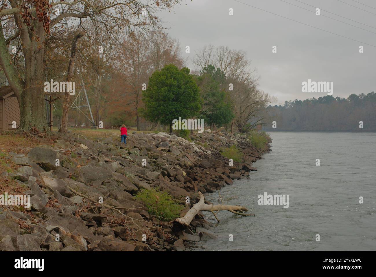 Vue large au nord du barrage J. Strom Thurmond Lake sur la rivière Savannah. Arbres des lignes directrices. Femme en sweat-shirt rouge et jeans avec fourche cassée de l'arbre Banque D'Images