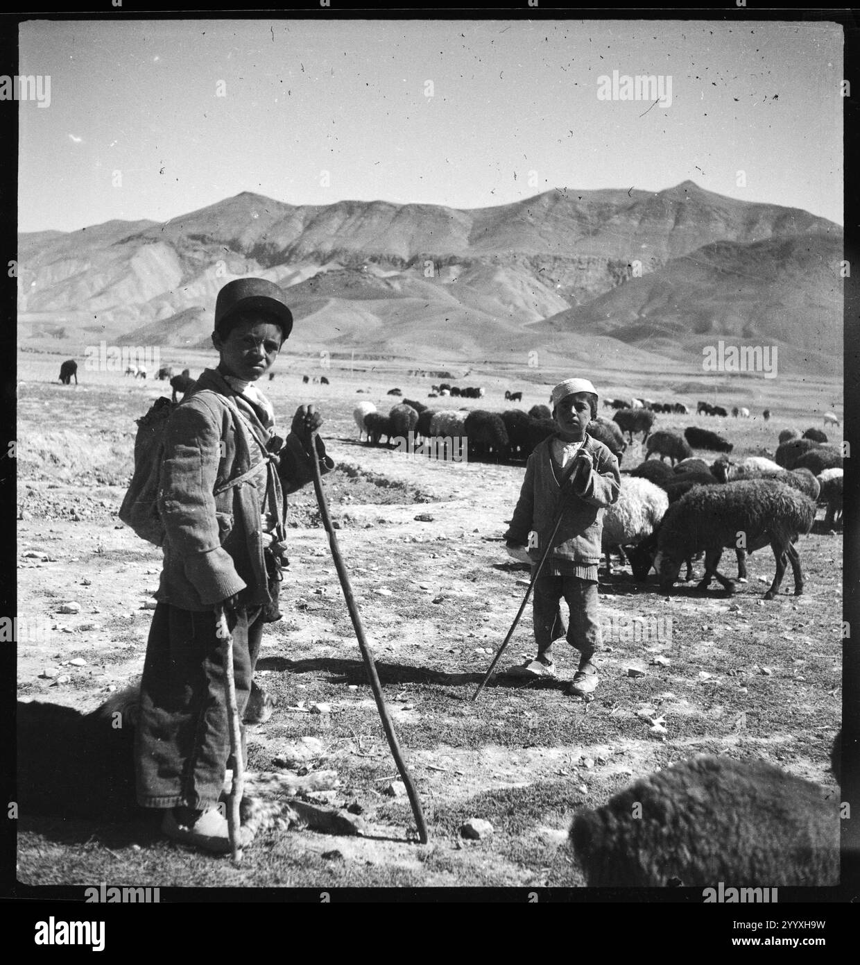 Perse, Firuskuh (Firuzkuh) dans les monts Alborz (Elburz) : garçon berger ; deux garçons s'occupant de moutons. Photographie d'archives de l'Iran par Annemarie Schwarzenbach , vers 1939 Banque D'Images