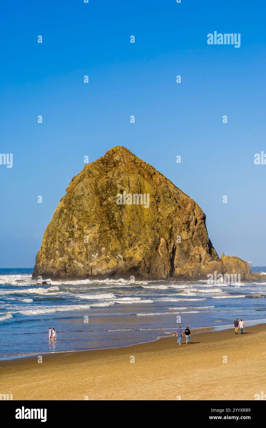 Les amateurs de plage sur Cannon Beach et Haystack Rock, Cannon Beach, Oregon. Banque D'Images