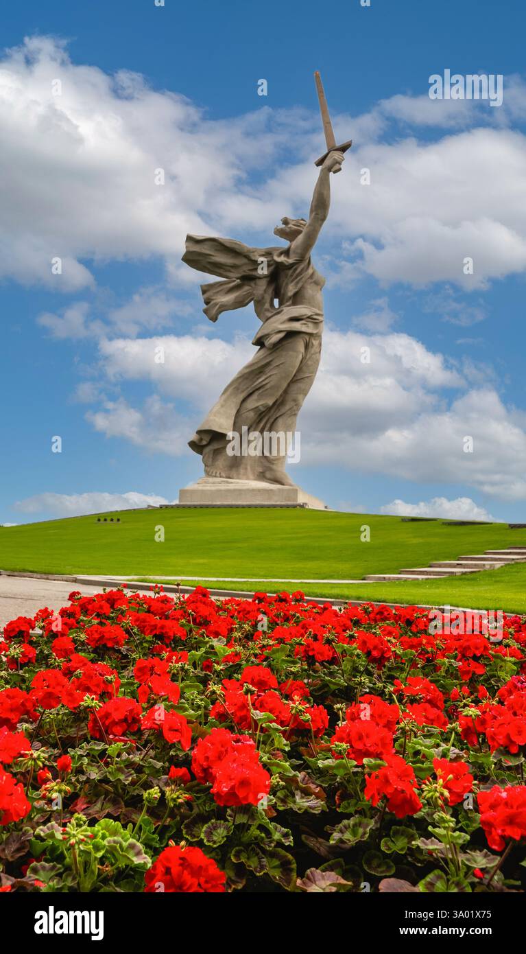 Russie, Volgograd - 01 juin 2024 : vue de côté de la sculpture la mère patrie appelle Mamayev Kurgan du parterre de fleurs avec des pélargoniums écarlate. Monument-en Banque D'Images Russie, Volgograd - 01 juin 2024 : vue de côté de la sculpture la mère patrie appelle Mamayev Kurgan du parterre de fleurs avec des pélargoniums écarlate. Monument-en Banque D'Images