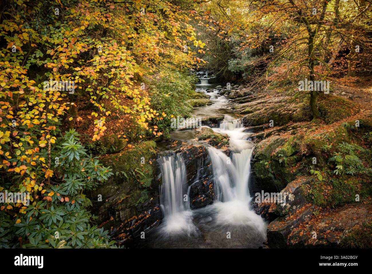 Cascade Upper Torc, parc national de Killarney, Kerry, Irlande Banque D'Images