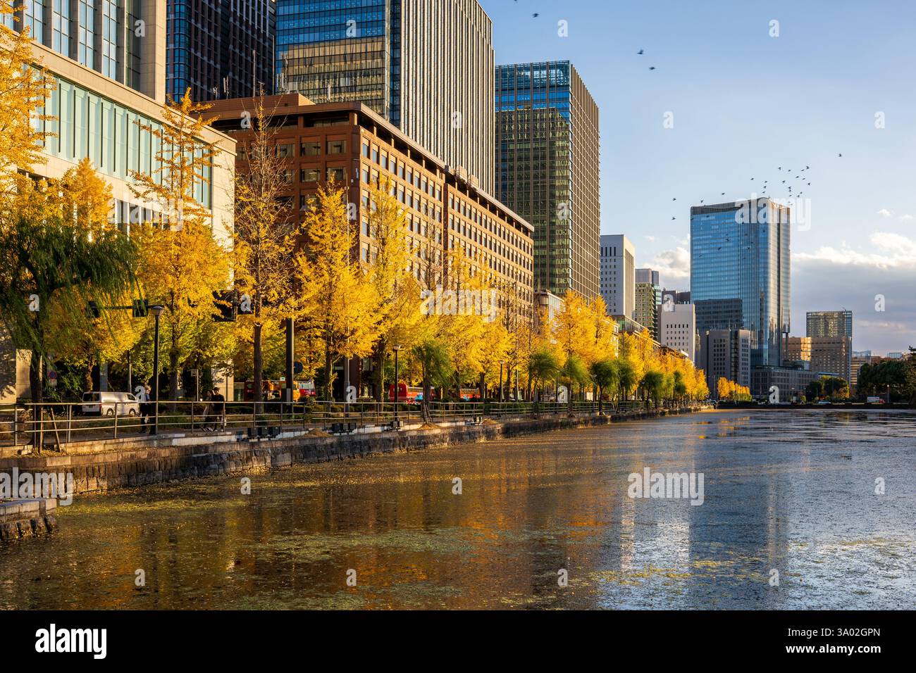 Tokyo Skyscapers à côté du lac du Palais des Empereurs Banque D'Images
