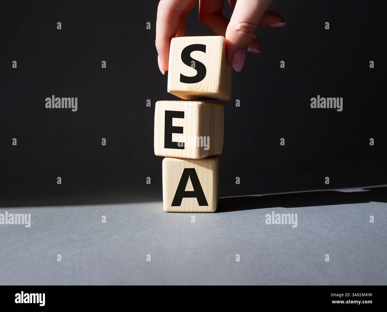 SEA - symbole publicitaire des moteurs de recherche. Cubes en bois avec les mots MER. Main d'homme d'affaires. Beau fond gris. Concept d'affaires et DE MER. Copier l'espace Banque D'Images