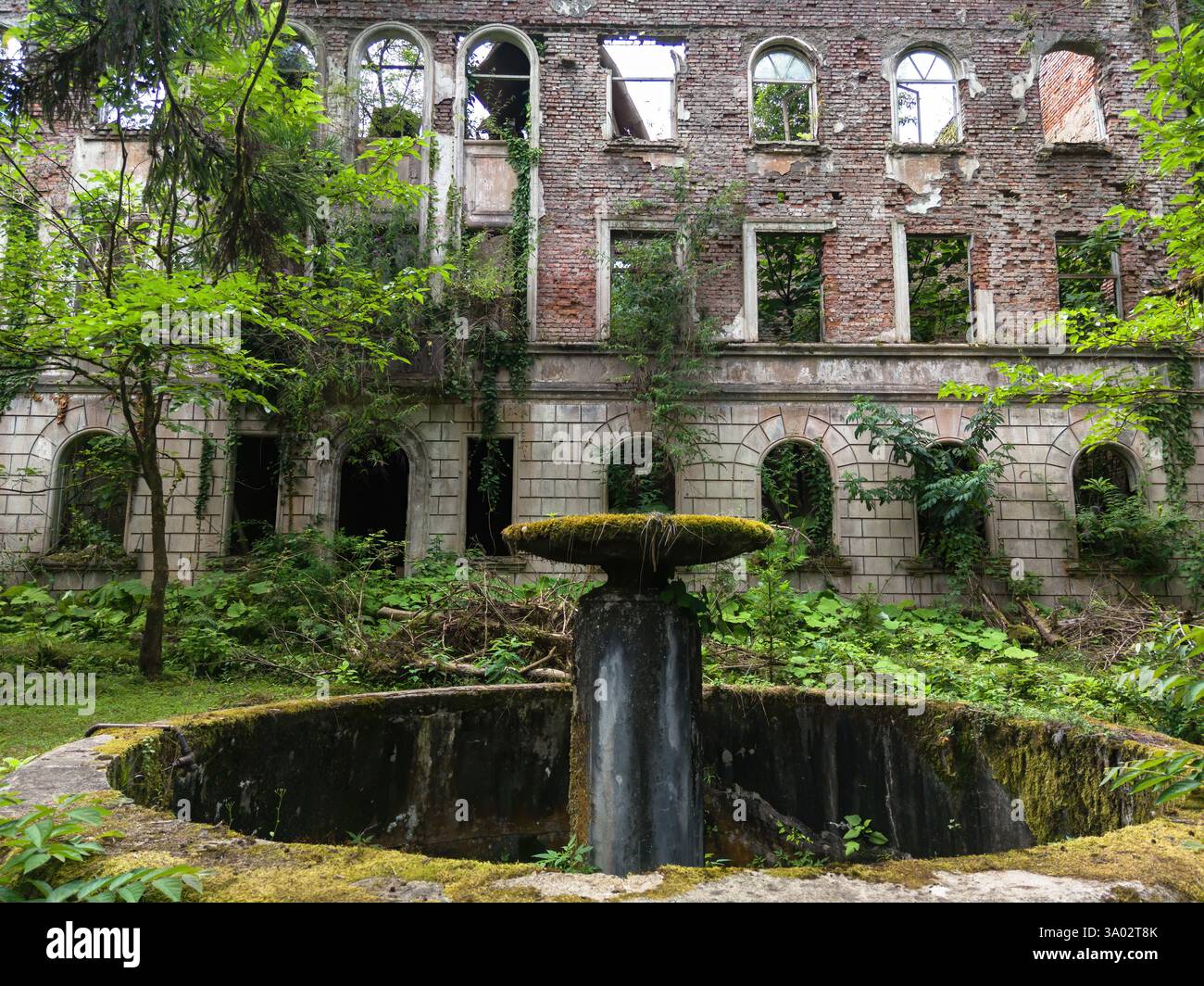 Bâtiments détruits dans la ville abandonnée d'Akarmara, ville de Tkvarcheli, Abkhazie. Vieilles ruines envahies par des plantes vertes et des arbres en été. Concept de guerre, Ar Banque D'Images
