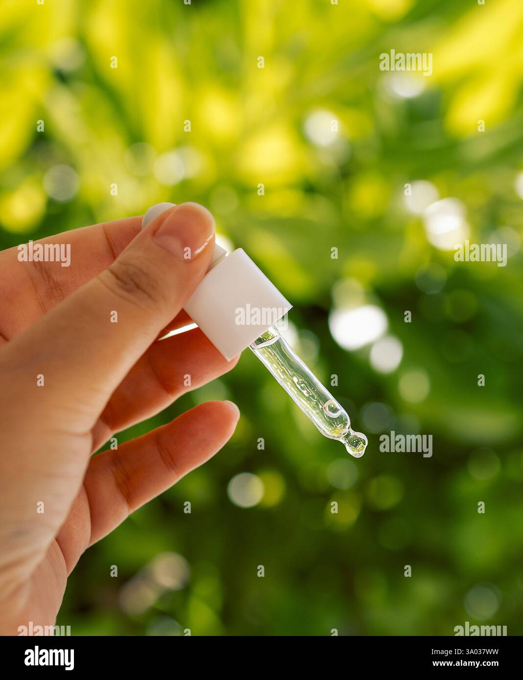 Gros plan d'une main féminine avec un compte-gouttes et un sérum facial hydratant. Une jeune femme tient un produit cosmétique. Essence vitaminée transparente pour la peau a Banque D'Images
