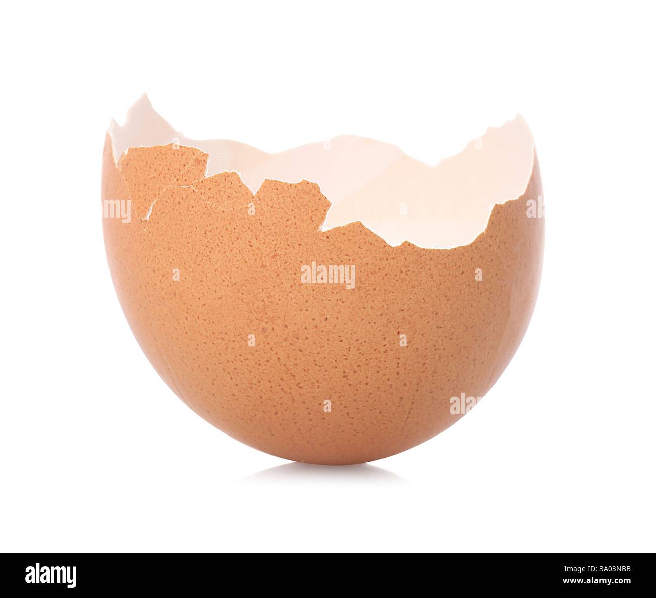 Un morceau de coquille d'œuf cassé sur la surface miroir sur fond blanc Banque D'Images