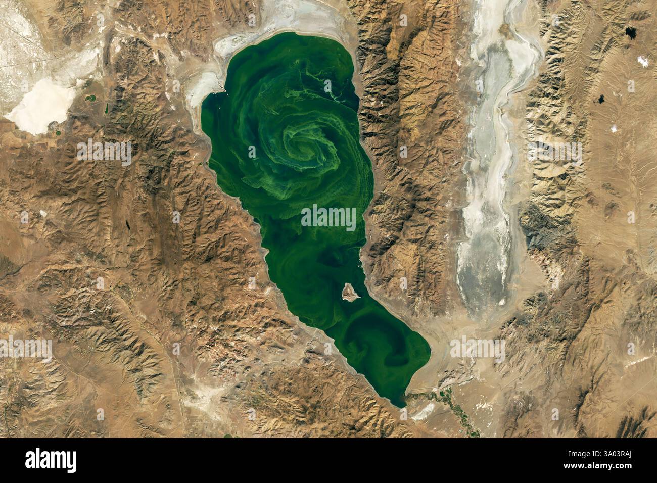 Pyramid Lake, Nevada, États-Unis. Des bandes denses d'algues bleu-vert, ou cyanobactéries, tourbillonnaient autour des eaux en octobre 2024. Banque D'Images