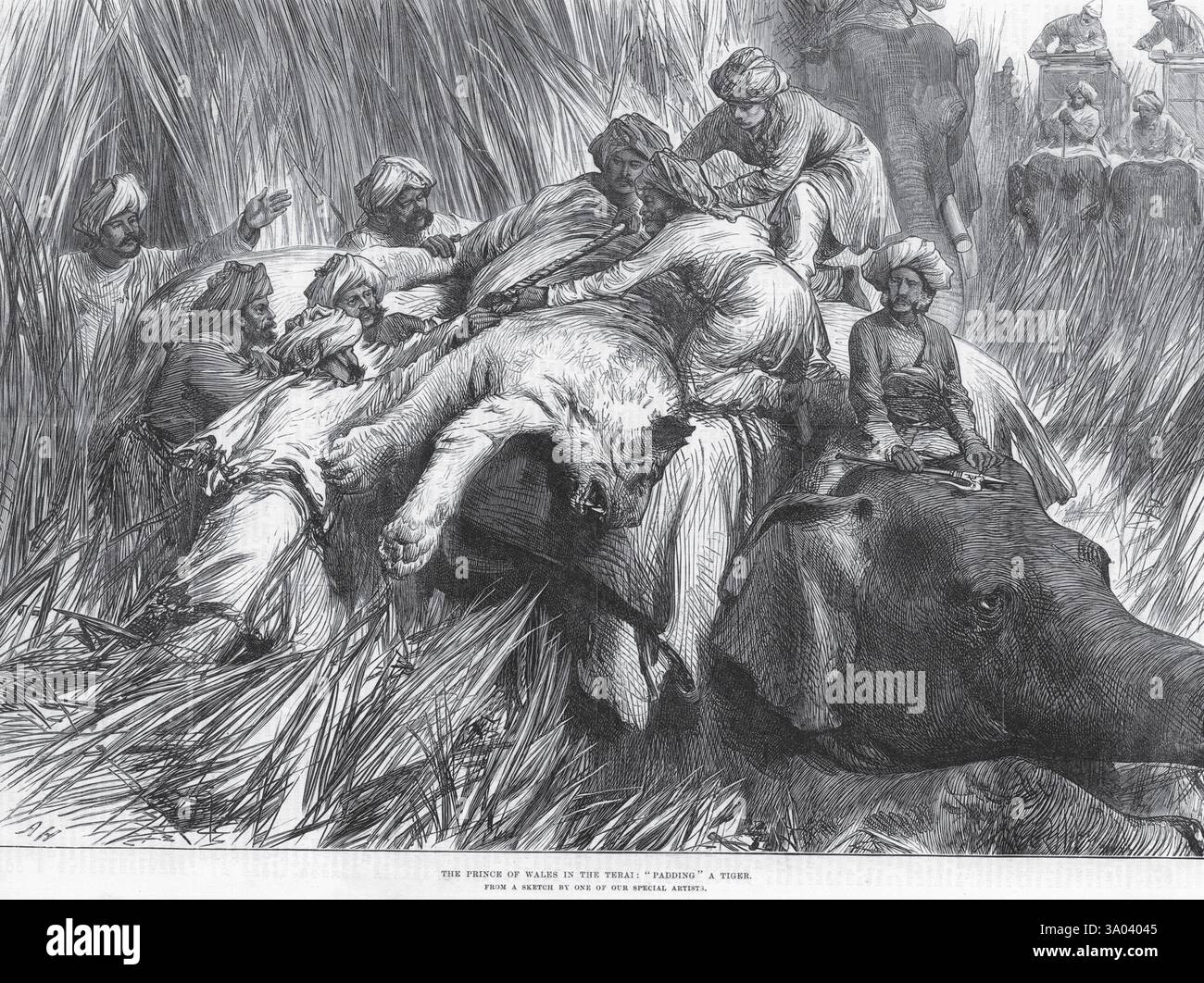 Tirage Photo Vintage 1949 - Scène De Chasse Au Tigre, Inde Pahargarh Estate - Tirage Argentique