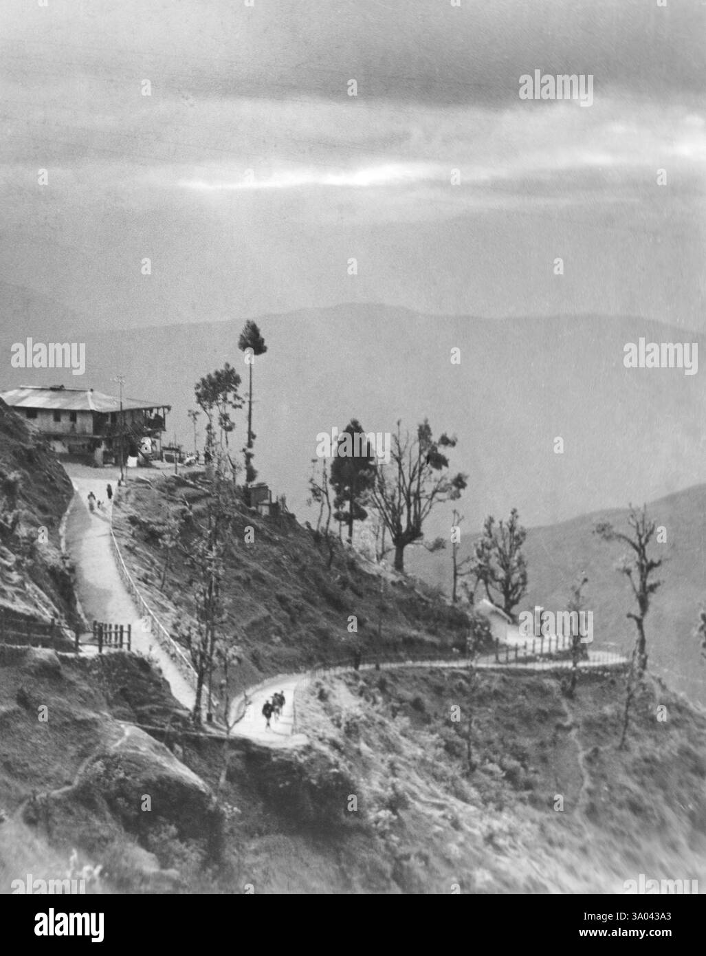 Paysage serein à Darjeeling, Himalaya, Bengale occidental, Inde des années 1940 Banque D'Images