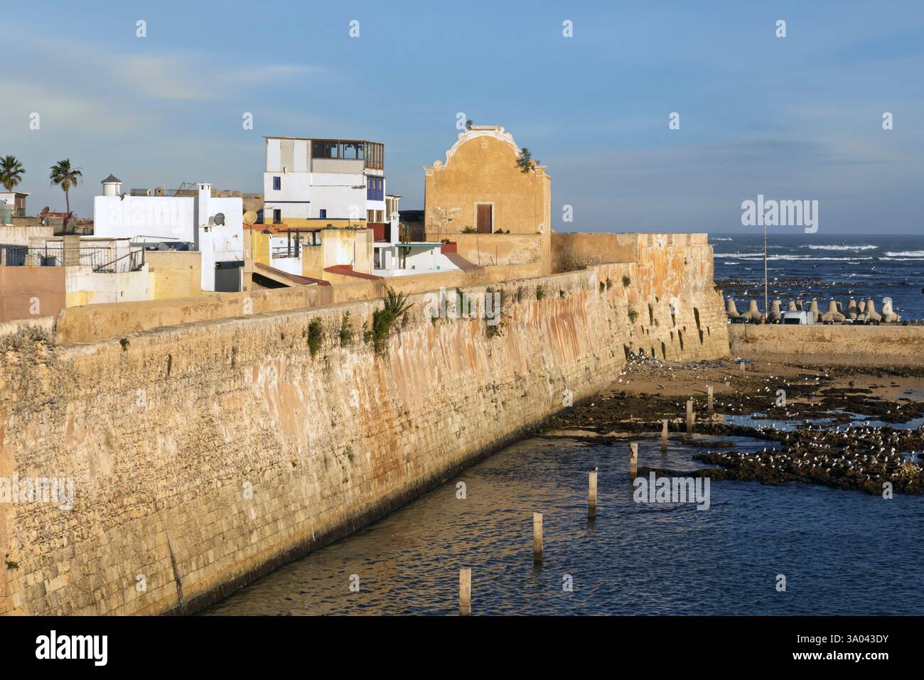 El Jadida est un port important et une ville fortifiée sur la côte atlantique du Maroc. Banque D'Images