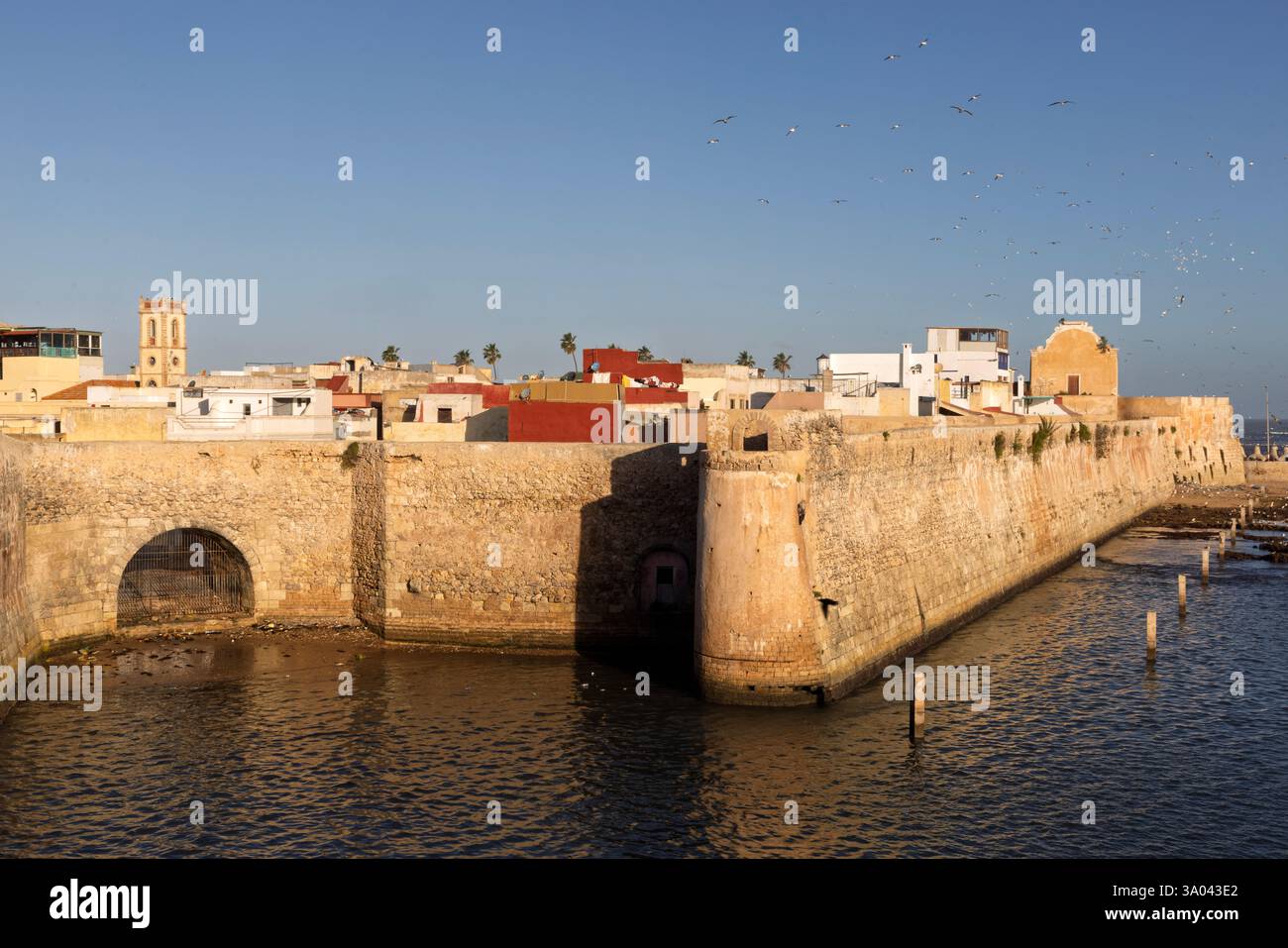 El Jadida est un port important et une ville fortifiée sur la côte atlantique du Maroc. Banque D'Images