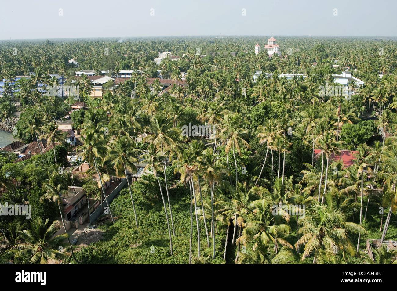 Vue de kollam, Kerala, Inde, Asie Banque D'Images